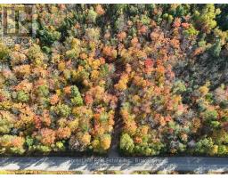 4488 KAWAGAMA LAKE ROAD - 28