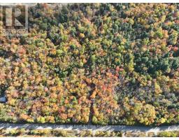 4488 KAWAGAMA LAKE ROAD - 29