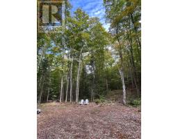 4488 KAWAGAMA LAKE ROAD - 3