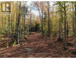 4488 KAWAGAMA LAKE ROAD - 33