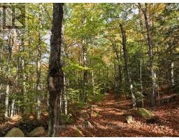 4488 KAWAGAMA LAKE ROAD - 34