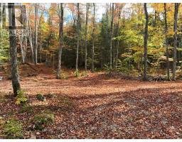 4488 KAWAGAMA LAKE ROAD - 37