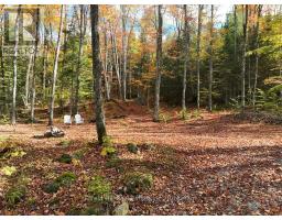 4488 KAWAGAMA LAKE ROAD - 38