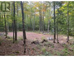 4488 KAWAGAMA LAKE ROAD - 4
