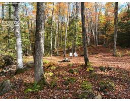 4488 KAWAGAMA LAKE ROAD - 40
