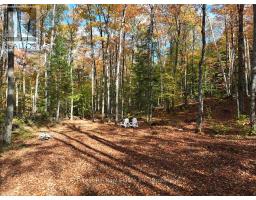 4488 KAWAGAMA LAKE ROAD - 41