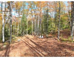 4488 KAWAGAMA LAKE ROAD - 42