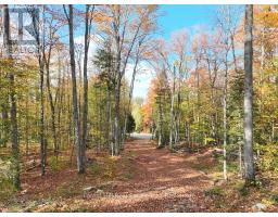 4488 KAWAGAMA LAKE ROAD - 43