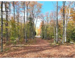 4488 KAWAGAMA LAKE ROAD - 44