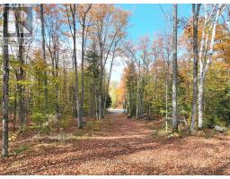 4488 KAWAGAMA LAKE ROAD - 45