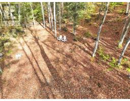 4488 KAWAGAMA LAKE ROAD - 46