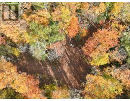 4488 KAWAGAMA LAKE ROAD - 48