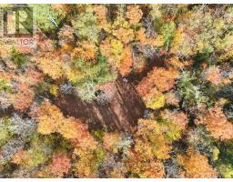 4488 KAWAGAMA LAKE ROAD - 49