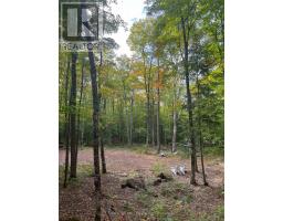 4488 KAWAGAMA LAKE ROAD - 5