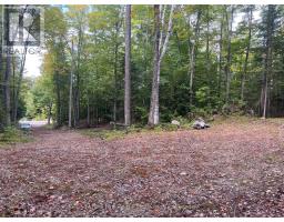 4488 KAWAGAMA LAKE ROAD - 6