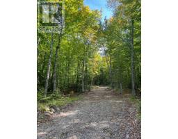 4488 KAWAGAMA LAKE ROAD - 7