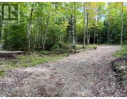 4488 KAWAGAMA LAKE ROAD - 8