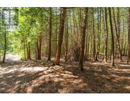 33587 ROWCLIFFE DRIVE - 34