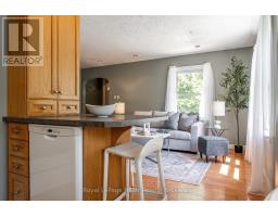18 SOMERSET STREET - 17