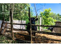612608 SIDEROAD 61 - 10