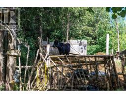 612608 SIDEROAD 61 - 11
