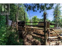 612608 SIDEROAD 61 - 14