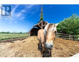 612608 SIDEROAD 61 - 21