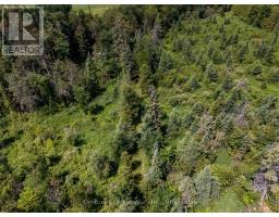 612608 SIDEROAD 61 - 36
