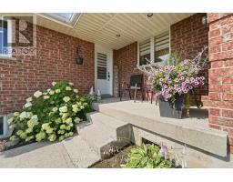 344 ALBERT STREET - 3