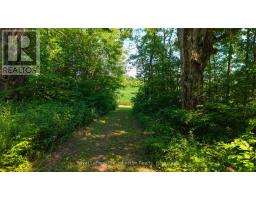 305 SIDEROAD 25 - 3
