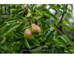 350063 BAYSHORE ROAD - 45