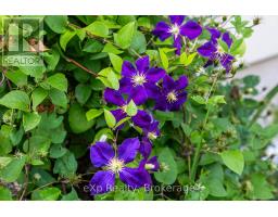 350063 BAYSHORE ROAD - 46