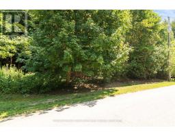 LT 17 PL 594 COURTNEY COURT - 13
