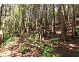 LT 17 PL 594 COURTNEY COURT - 14