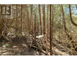 LT 17 PL 594 COURTNEY COURT - 16