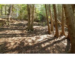 LT 17 PL 594 COURTNEY COURT - 17