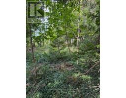 LOT 4 PLAN 590 CEDAR BANK LANE W - 4