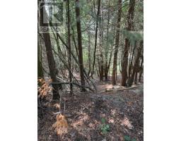 LOT 4 PLAN 590 CEDAR BANK LANE W - 5