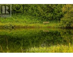 613154 SIDEROAD 50 - 32