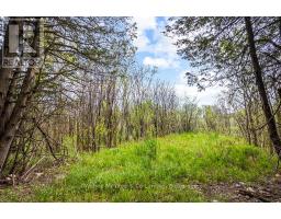 135220 CONCESSION ROAD 8 ROAD - 26