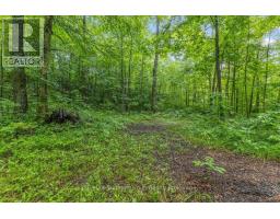 PT LT 4 CONCESSION ROAD 8 - 7