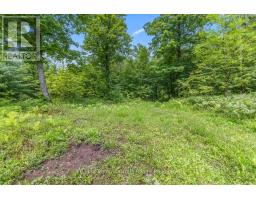 PT LT 4 CONCESSION ROAD 8 - 8