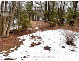 135 CHRISTOPHER AVENUE - 31