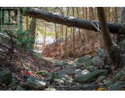 126 BRAMBEL ROAD - 40