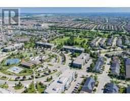 31 TEA ROSE ROAD - 44