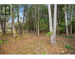 10 SPRUCE AVENUE - 24