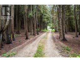 403288 GREY ROAD 4 - 40