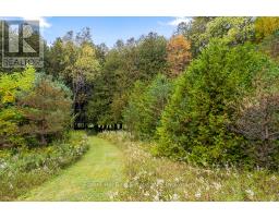 403288 GREY ROAD 4 - 6