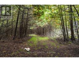 403288 GREY ROAD 4 - 7