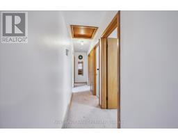 10 PAUL AVENUE - 18